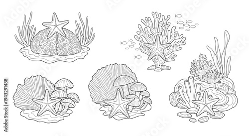 Adobe Illustrator Artwork