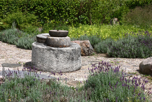 Bright sunny day. A fragment of the Pharmaceutical garden in the Minsk region, Belarus. Group of mill stones on a path among a lavender.