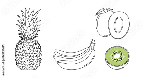 Adobe Illustrator Artwork