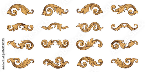 Ornamental floral design elements on black background vector illustration