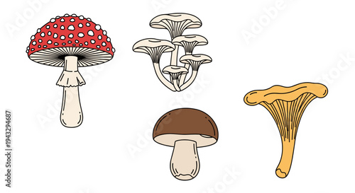 Collection of four distinct hand-drawn mushrooms on a white background