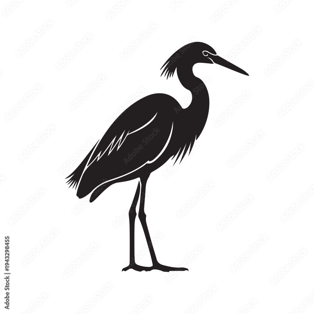 Obraz premium North American Snowy Egret icon in black fill silhouette mode. Top choice of animal vector illustration in trendy style. Editable graphic resources for many purposes. 
