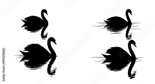 Four black swan silhouettes floating on water with reflections, graphic design