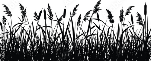 Black, silhouette, of, tall, grass, with, cattails, and, reeds, isolated, on, white, background, wetland, nature, landscape, border, meadow, botanical, illustration.