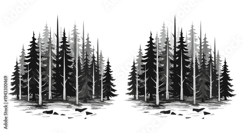 Monochromatic forest scene with dense evergreen trees and scattered rocks on the ground