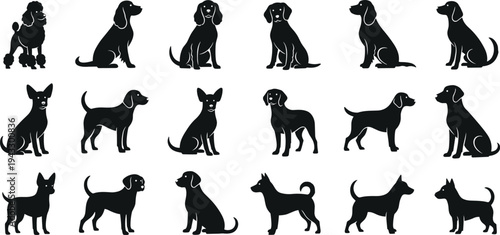 Dog, breed, silhouette, set, vector, illustration, pet, animal, collection, puppy, poodle, beagle, labrador, isolated, nature, canine, logo, design, element, cad drawing flat vector illustration,