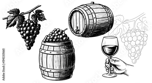 Vintage illustration of wine elements: grapes, barrels, and a glass of red wine