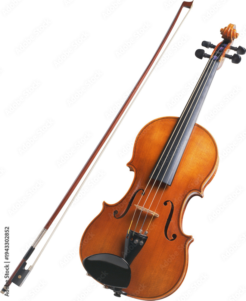 Fototapeta premium violin on white background