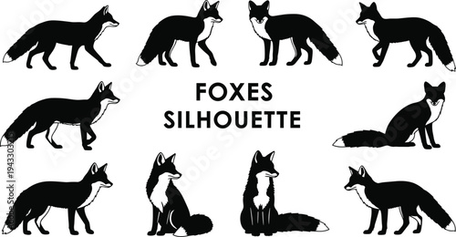 Fox silhouette collection set with various fox poses including walking sitting and standing in cad drawing flat vector illustration style, 20 words.