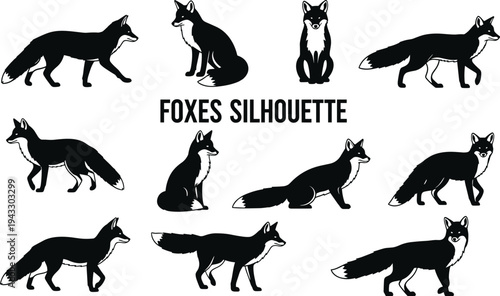 фотографія Fox, silhouette, set, vector, illustration, wild, animal, collection, forest, pr