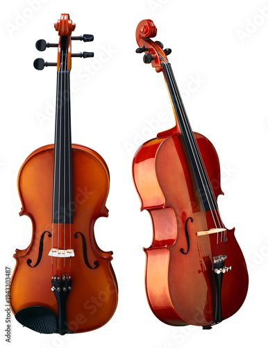 violin on white background