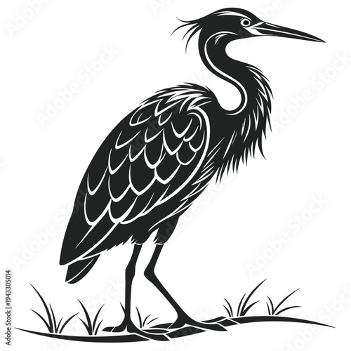 Heron Standing on Grass Illustration Vector

