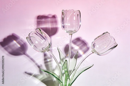 Three glass tulips with shadows on a simple pink background near window light during the day