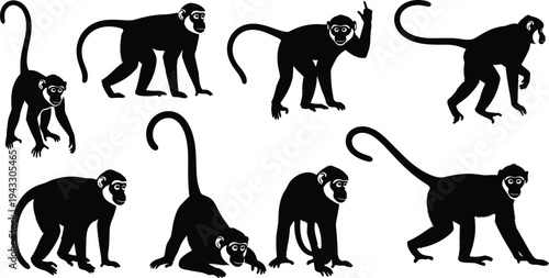 Monkey silhouette collection featuring tropical jungle primates in various active poses for zoo and nature design cad drawing flat vector illustration.