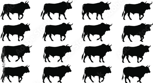 Strong bull silhouette set, male cow standing and walking pose collection, cad drawing flat vector illustration, beef cattle farm animal icon