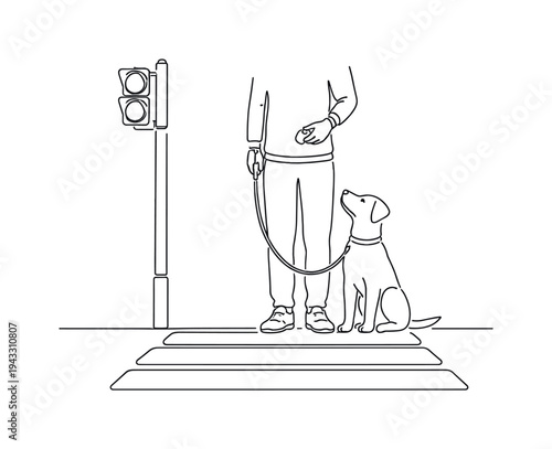 Dog sitting patiently at a crosswalk beside its owner, traffic light pole nearby and painted street lines beneath their feet,