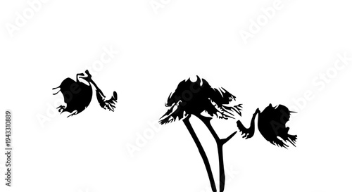 black silhouette of a flower