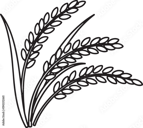 Three stalks of wheat plant simple line drawing vector illustration agricultural symbol nature