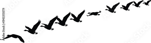 Wheat Stalks Silhouette with Ears of Grain and Wild Grass Meadow, cad drawing flat vector illustration, Agricultural Cereal Plant for Farming.