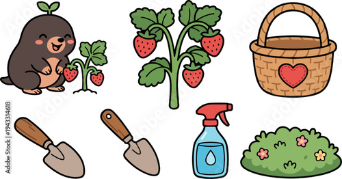 Cute mole picking fresh strawberries near watering spray bottle small garden tools and woven basket with heart design colorful cartoon vector art