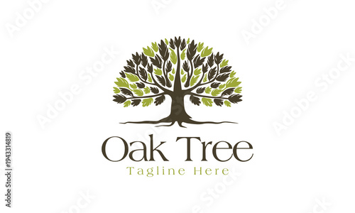 Oak Tree Logo vector