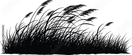 Wild grass and reeds blowing in wind silhouette, meadow plant field, cad drawing flat vector illustration, nature landscape greenery element