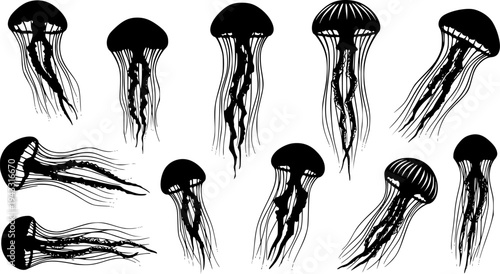 Jellyfish silhouette, Jellyfish vector illustration, Jellyfish, Jellyfish icon set, Jellyfish clipart, Jellyfish silhouette bundle set
