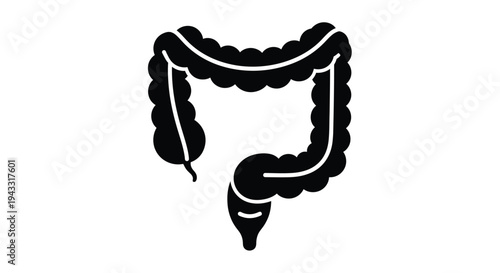 Detailed illustration of a human intestine black shape medical silhouette