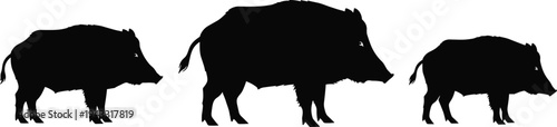 Wild, boar, silhouettes, set, feral, pig, hog, collection, black, vector, icons, wildlife, animal, swine, hunting, forest, nature, isolated, white, background