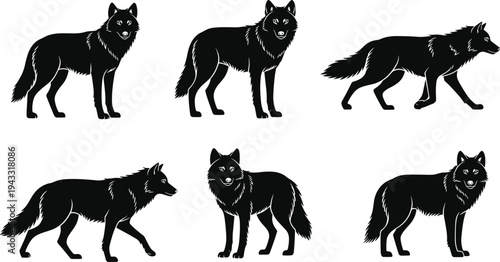 Wolf silhouette collection featuring wild forest predators in various poses for nature and wilderness design cad drawing flat vector illustration.