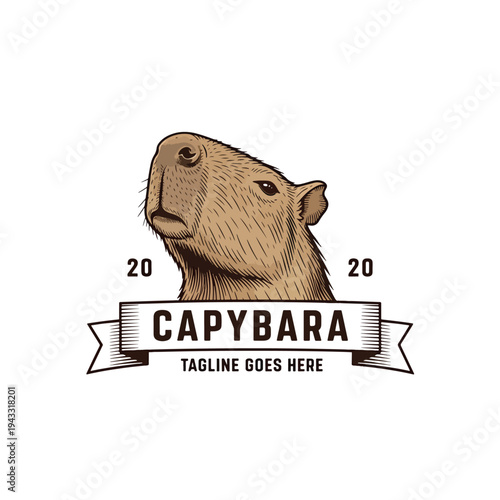 Vintage style capybara head looking up, detailed large rodent illustration for emblem