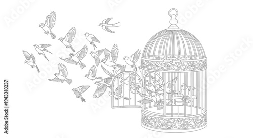 Birds flying out of cage freely.