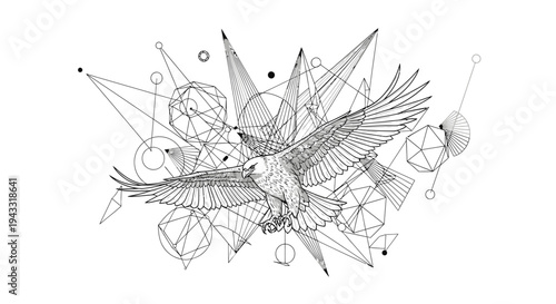 Detailed drawing of an eagle bird.