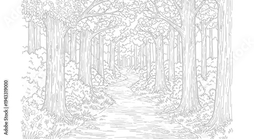 Forest Path with Tall Trees.