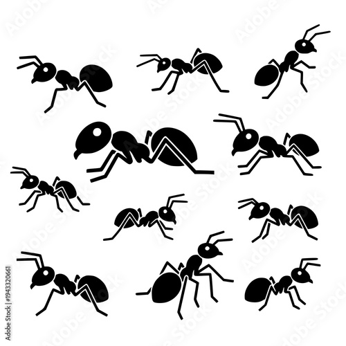 Minimal ant vector icon set black insect silhouette EPS10 isolated on white