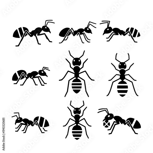 Ant black silhouette vector icon set insect illustration EPS10 isolated on white