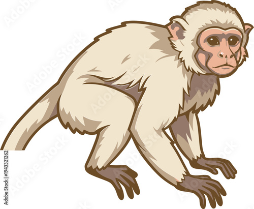 Curious White Monkey Primate Vector Illustration Looking Sideways Adorable Cartoon Graphic