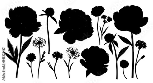 Flowers silhouette set with black petals and stems on white featuring floral, bouquet, garden with nature and botanical