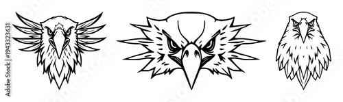 Eagle head set with symmetrical majestic bird style featuring predatory, modern bold, and minimalist design with clean lines and white background