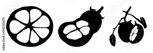 Mangosteen cross-section set with solid black silhouette on white background featuring laboratory-grown, exotic, future food with fruit and biology