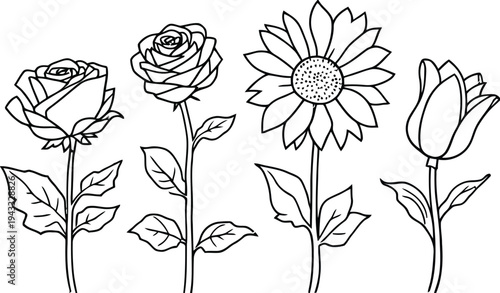 Beautiful assortment of blooming flowers including roses, sunflower, and tulip in delicate line drawing style, perfect for nature, beauty, and romantic themes in design.