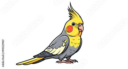 Adorable cartoon cockatiel parrot bird illustration a vibrant friendly pet with a yellow crest orange cheek patches and grey and yellow plumage standing proudly on its feet