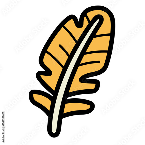 feather illustration