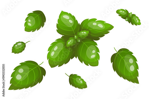 Vector set with mint leaves