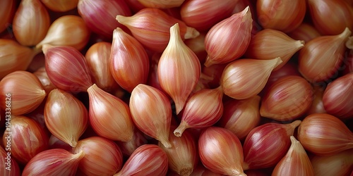 Close-Up of Vibrant Crimson and Coppery Shallots with Crisp Surfaces in a Natural Onion Background