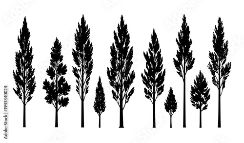 Tall poplar tree silhouette collection minimalist forest vector illustration isolated on white background