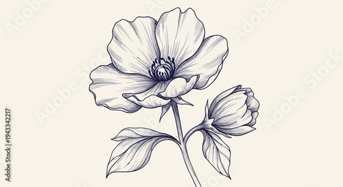 Detailed Botanical Flower Sketch with Bud and Leaves

