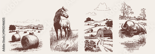 Countryside farm landscapes horse barn buffalo rural collection. Background for agriculture branding and editorial design. Traditional pencil drawing sketch style with pastoral scenery.