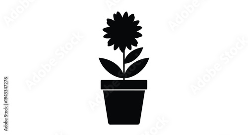 Black flower in a pot a striking plant design silhouette