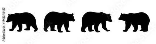 Discover silhouette art of bears in black and white a wildlife illustration for nature lovers